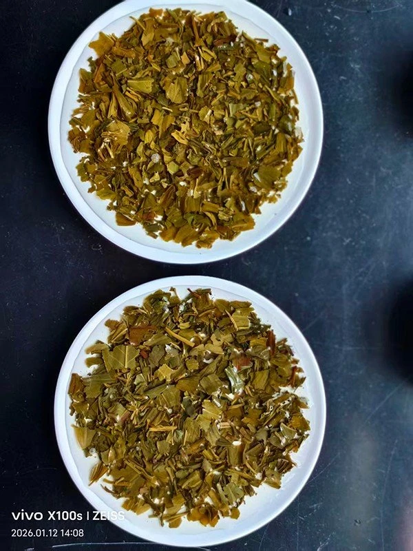 Chunmee Tea 41022 factory